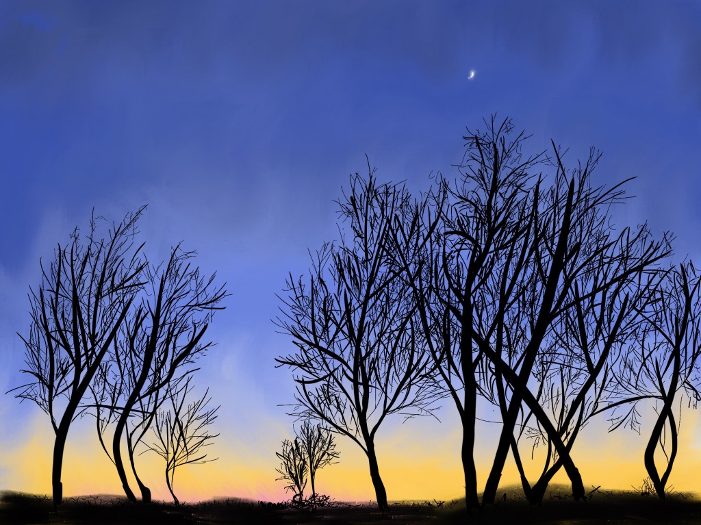 “February Sunset”