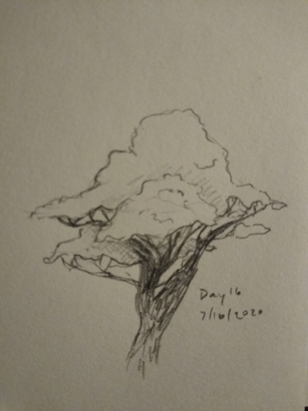 Draw Every Day:&nbsp;16