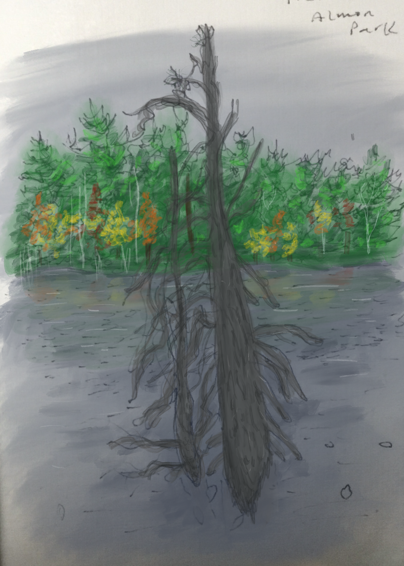 Draw Every Day: 58