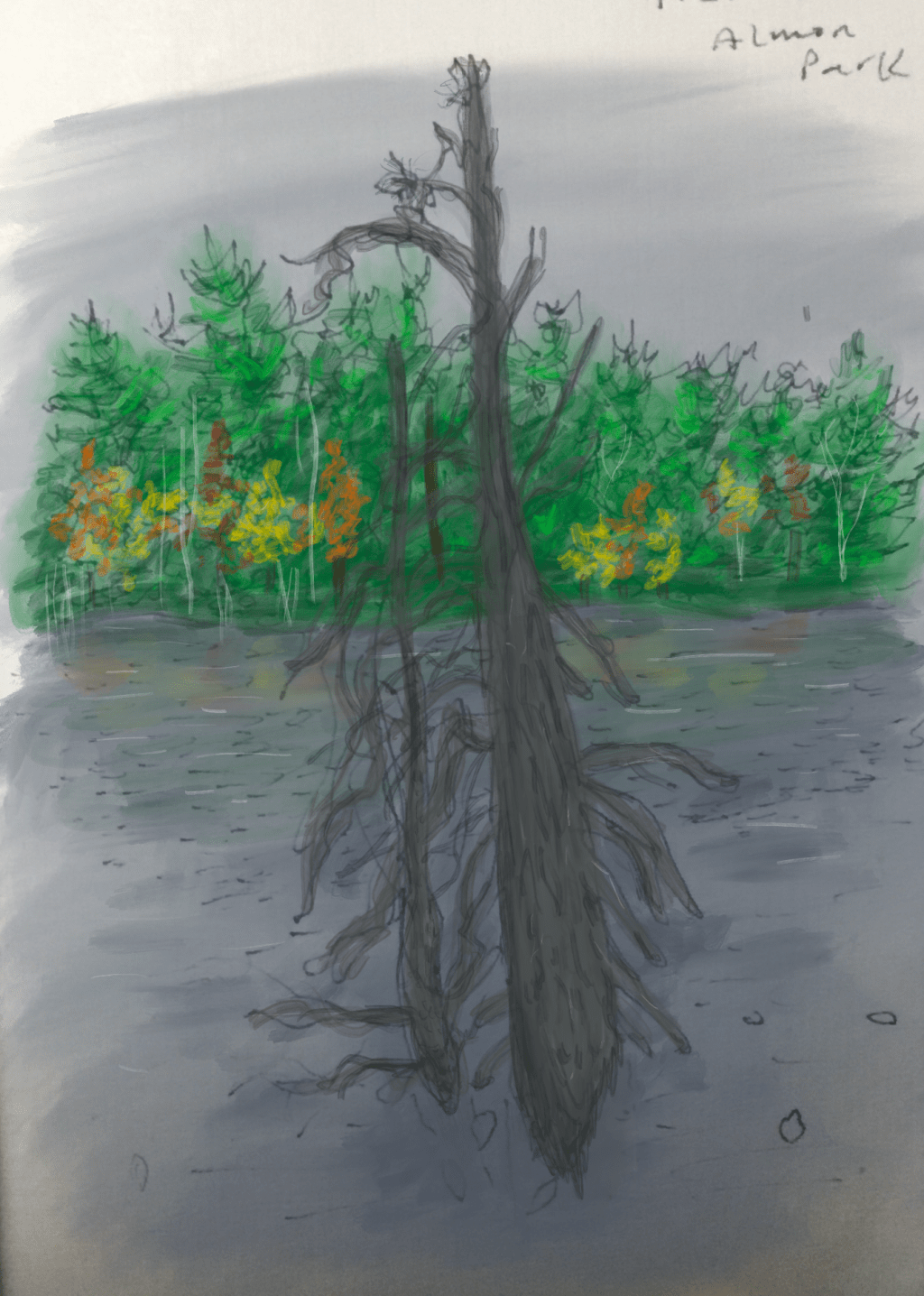 Draw Every Day:&nbsp;58