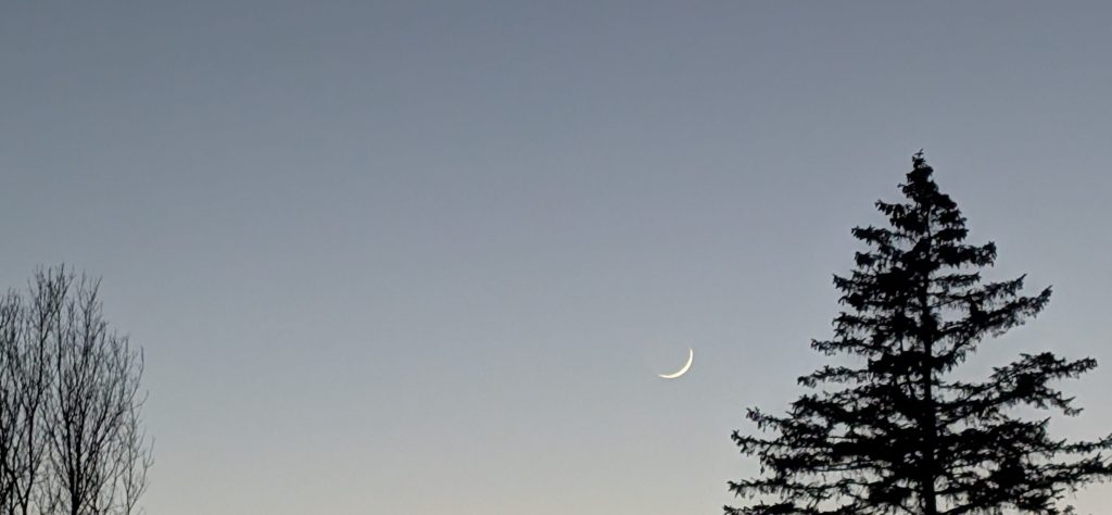 return of the&nbsp;artist